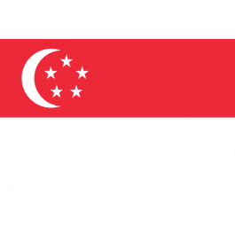 Singapore National Courtesy Flag - JW Plant