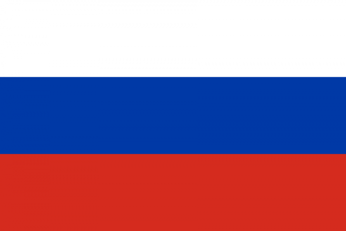 Vlag Rusland (20 x 30 cm)