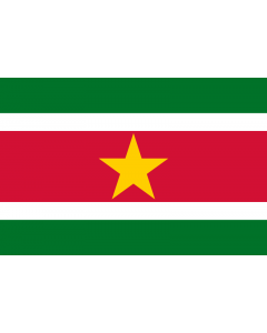 Surinam Courtesy Flag