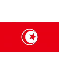 Tunisia Courtesy Flag