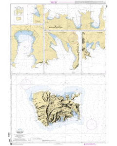 SHOM Nautical Chart SHOM7353
